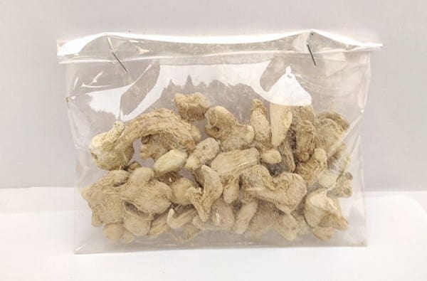 تصویر 5 از خرید زنجبیل قلم چینی + قیمت فروش استثنایی